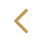 Back Icon